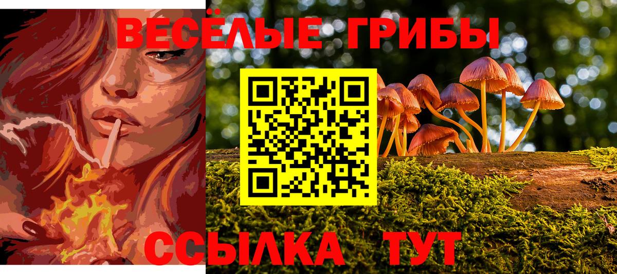 Галлюциногенные грибы ЛСД  Вход с VPN  Воткинск 