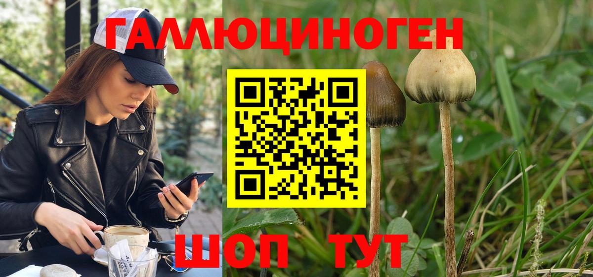 Галлюциногенные грибы мухоморы Воткинск